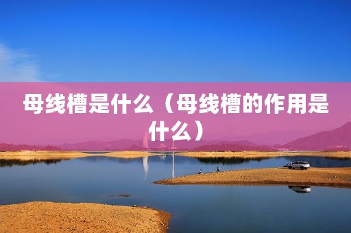 母线槽是什么（母线槽的作用是什么）