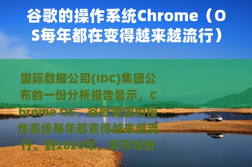 谷歌的操作系统Chrome（OS每年都在变得越来越流行）