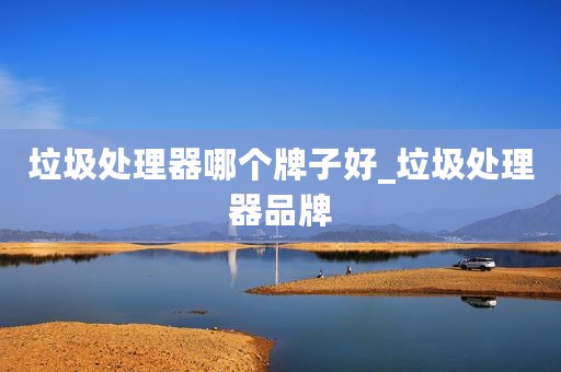 垃圾处理器哪个牌子好_垃圾处理器品牌