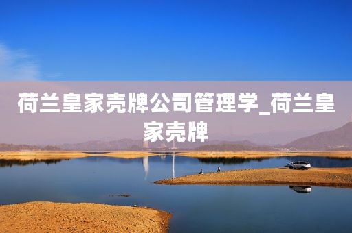 荷兰皇家壳牌公司管理学_荷兰皇家壳牌