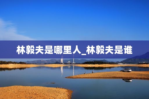 林毅夫是哪里人_林毅夫是谁
