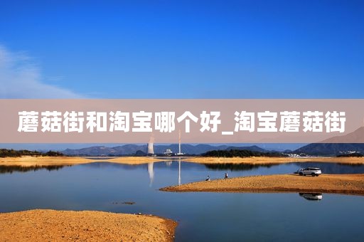 蘑菇街和淘宝哪个好_淘宝蘑菇街