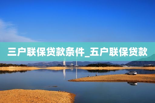 三户联保贷款条件_五户联保贷款