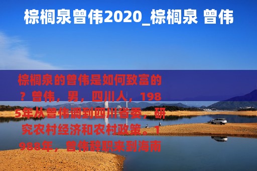 棕榈泉曾伟2020_棕榈泉 曾伟