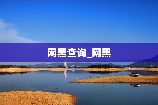 网黑查询_网黑