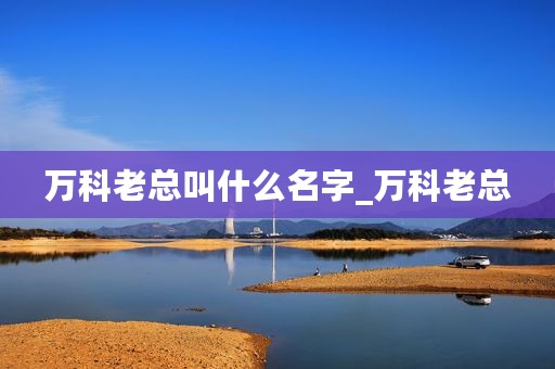 万科老总叫什么名字_万科老总