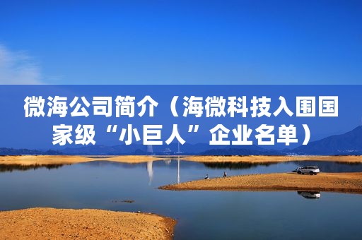微海公司简介(海微科技入围国家级“小巨人”企业名单) 微海公司简介(海微科技入围国家级“小巨人”企业名单)