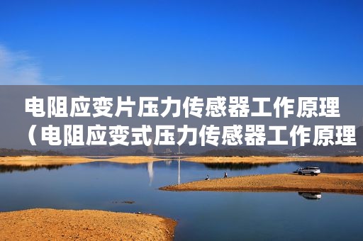 电阻应变片压力传感器工作原理(电阻应变式压力传感器工作原理) 电阻应变片压力传感器工作原理(电阻应变式压力传感器工作原理)
