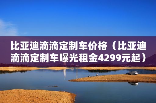 比亚迪滴滴定制车价格(比亚迪滴滴定制车曝光租金4299元起) 比亚迪滴滴定制车价格(比亚迪滴滴定制车曝光租金4299元起)