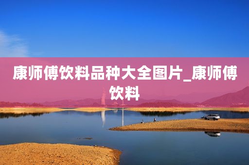 康师傅饮料品种大全图片_康师傅饮料
