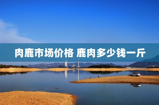 肉鹿市场价格 鹿肉多少钱一斤