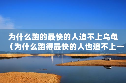 为什么跑的最快的人追不上乌龟(为什么跑得最快的人也追不上一只乌龟) 为什么跑的最快的人追不上乌龟(为什么跑得最快的人也追不上一只乌龟)