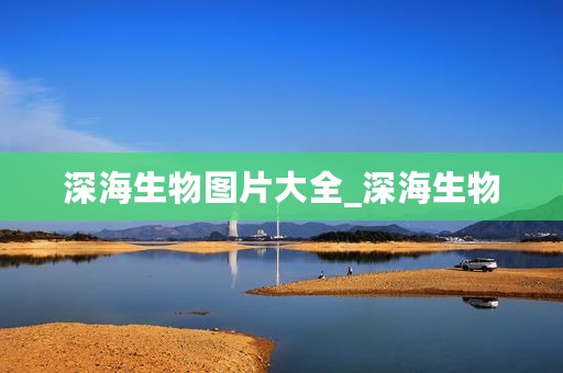深海生物图片大全_深海生物