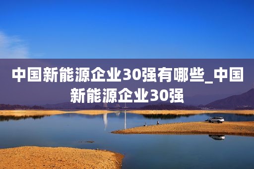 中国新能源企业30强有哪些_中国新能源企业30强