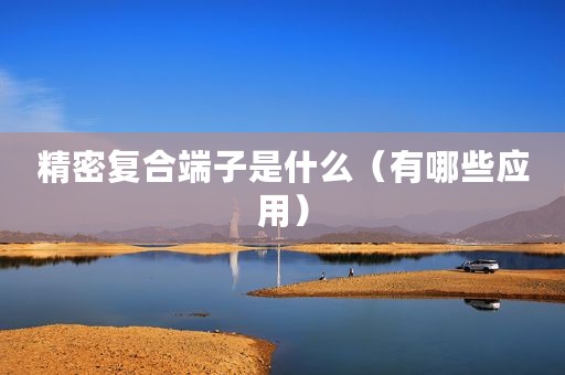 精密复合端子是什么（有哪些应用）