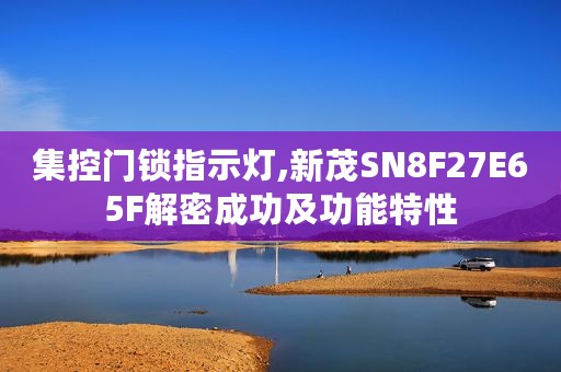 集控门锁指示灯,新茂SN8F27E65F解密成功及功能特性 集控门锁指示灯,新茂SN8F27E65F解密成功及功能特性