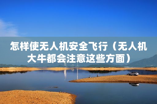 怎样使无人机安全飞行（无人机大牛都会注意这些方面）