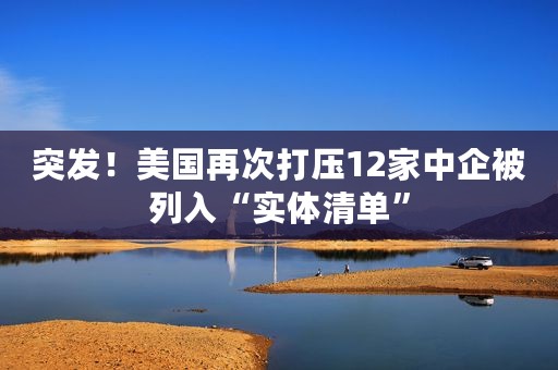 突发！美国再次打压12家中企被列入“实体清单”
