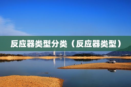 反应器类型分类（反应器类型）