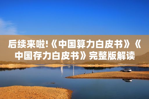 后续来啦!《中国算力白皮书》《中国存力白皮书》完整版解读