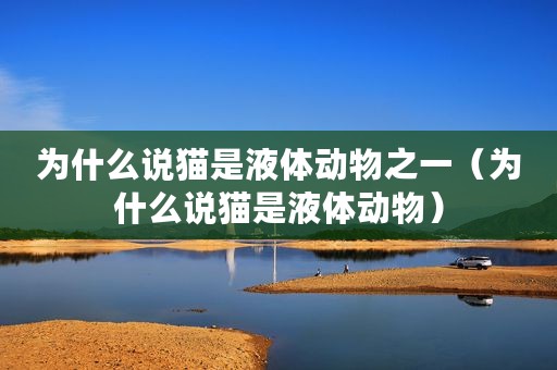为什么说猫是液体动物之一（为什么说猫是液体动物）