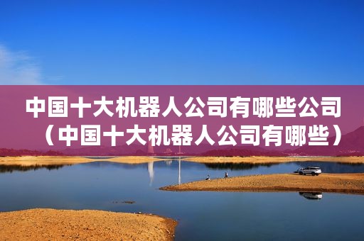 中国十大机器人公司有哪些公司（中国十大机器人公司有哪些）