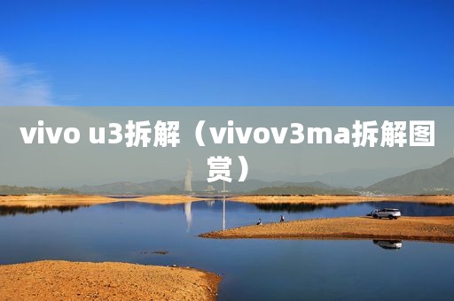vivo u3拆解（vivov3ma拆解图赏）