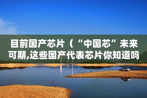 目前国产芯片（“中国芯”未来可期,这些国产代表芯片你知道吗）