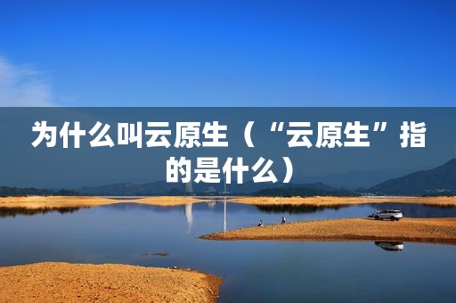 为什么叫云原生（“云原生”指的是什么）