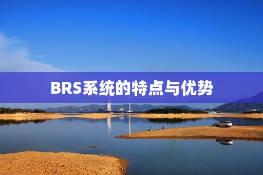 BRS系统的特点与优势