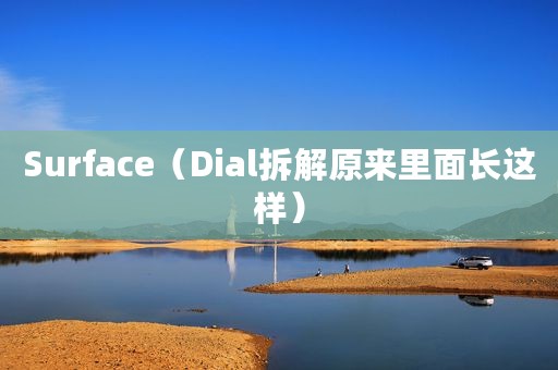 Surface（Dial拆解原来里面长这样）