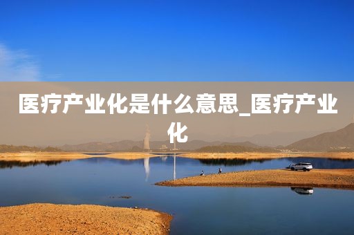 医疗产业化是什么意思_医疗产业化