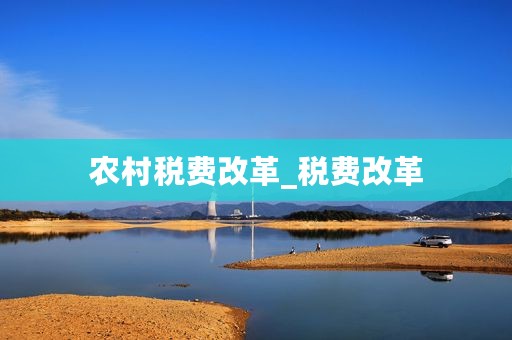 农村税费改革_税费改革
