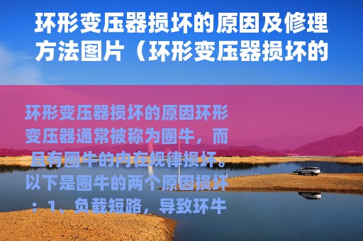 环形变压器损坏的原因及修理方法图片（环形变压器损坏的原因及修理方法）