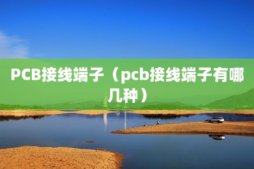 PCB接线端子（pcb接线端子有哪几种）
