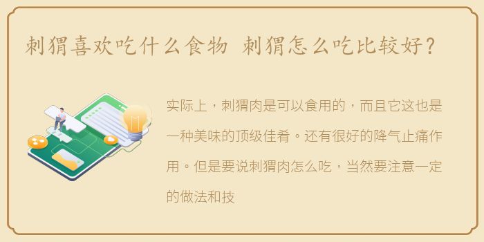 刺猬喜欢吃什么食物 刺猬怎么吃比较好？