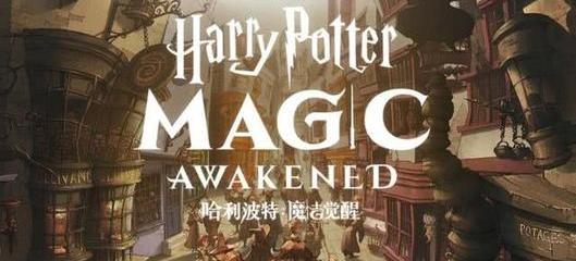 哈利波特魔法觉醒神秘成就怎么做（哈利波特魔法觉醒神秘成就）