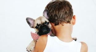 母金毛狗狗名字好听独特的？（狗狗好听的独特名字）