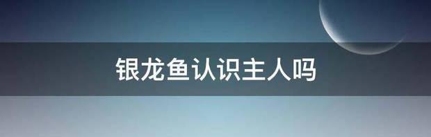 银龙鱼是热带鱼吗？（银龙鱼）