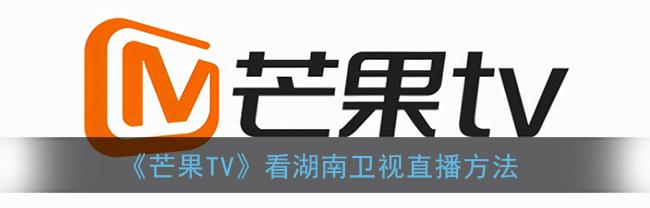 湖南电视台节目文章（湖南电视台文章）