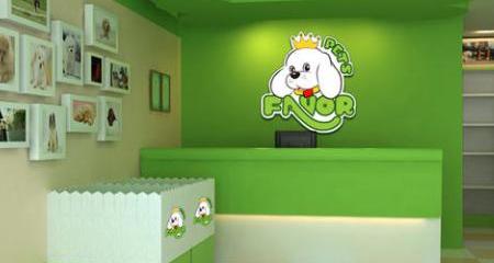 开一个宠物店大概需要多少钱？（开个宠物店大概需要多少钱）