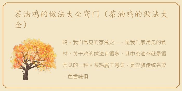 茶油鸡的做法大全窍门（茶油鸡的做法大全）