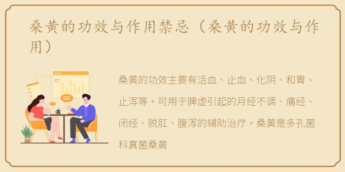 桑黄的功效与作用禁忌（桑黄的功效与作用）