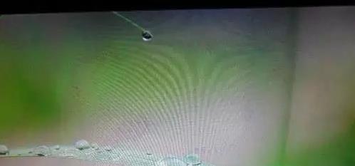 电脑花屏（电脑显示器花屏了该如何解决）