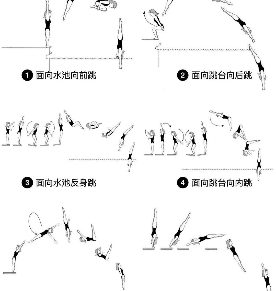 跳水动作描写（跳水动作）