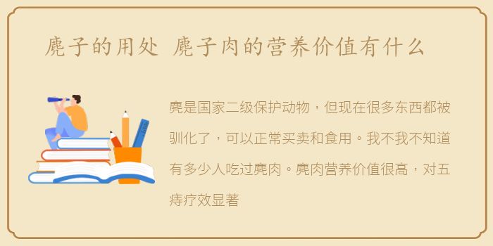 麂子的用处 麂子肉的营养价值有什么