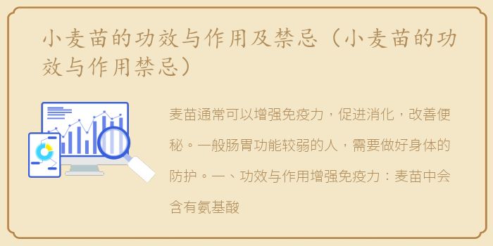小麦苗的功效与作用及禁忌（小麦苗的功效与作用禁忌）