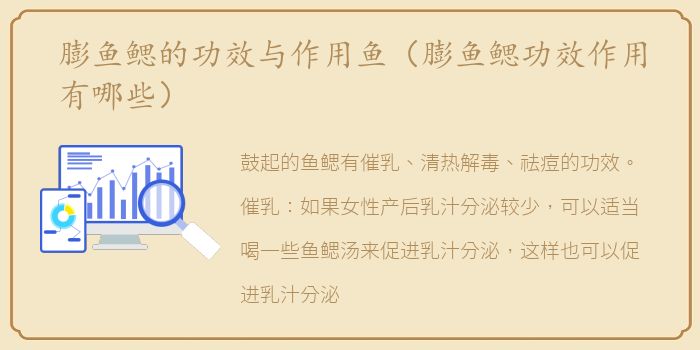 膨鱼鳃的功效与作用鱼（膨鱼鳃功效作用有哪些）