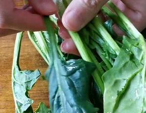 菠菜好吃的做法,不炒不做汤,不加一滴油,开胃又解腻