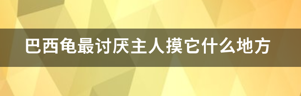 听说养巴西龟会有毒，是真的吗？（巴西龟讨厌主人的表现）